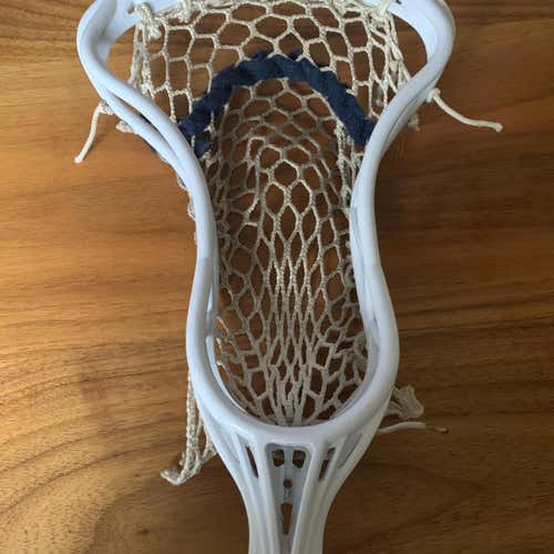 Tribe7 Sceptre7 Fogo Head