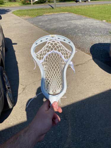White New Strung Stallion Omega Head