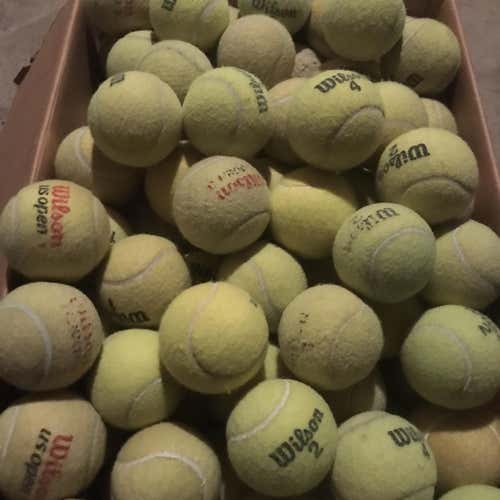 50 Wilson, Penn, YONEX Used Tennis Balls