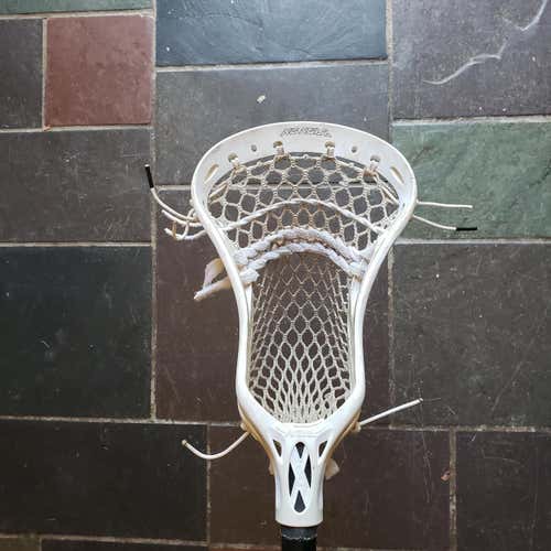 No Noz 2 on stx stallion