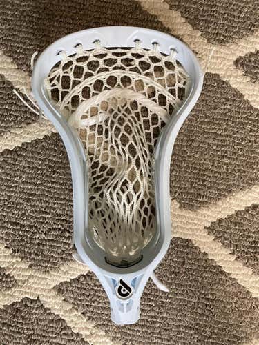 New Powell Pioneer 2 Head