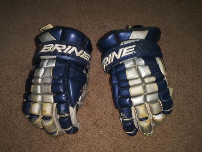Blue Used Brine Goalie Gloves 13"