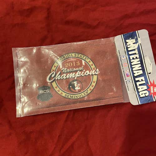 Rare Vintage 2013 Florida State Seminoles BCS Football National Champions Mini Car Flag - New