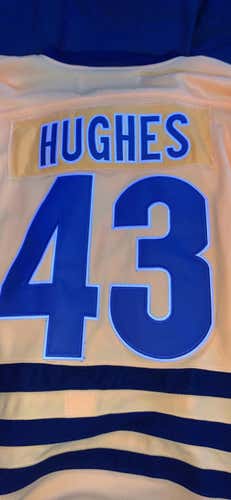 Quinn Hughes Michigan jersey, size men’s small