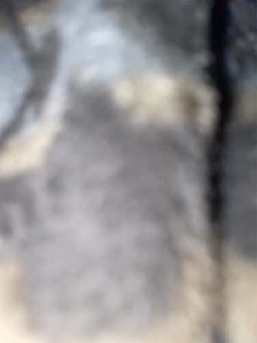 Black, Dark Blue, And Royal Blue UA Highlight Laces