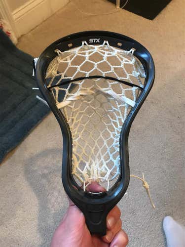 New Hammer Omega Head