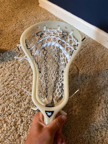 Ecd DNA Bone Color. Rare !