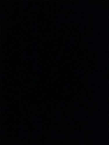 Gray Adult Small / Medium 100%