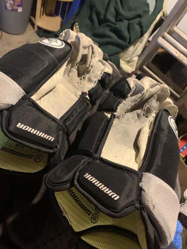 ADK Thunder (ECHL) Warrior Alpha Pro Gloves 14”