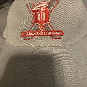Brand New — Dubuque Fighting Saints USHL 10 seasons hat, adjustable