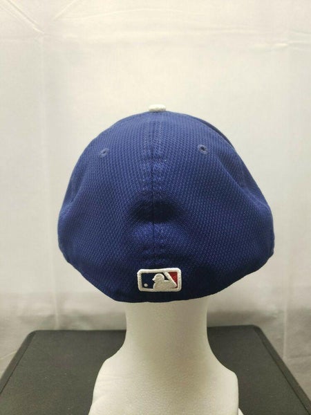 Men's Los Angeles Dodgers New Era Royal 2018 Spring Training