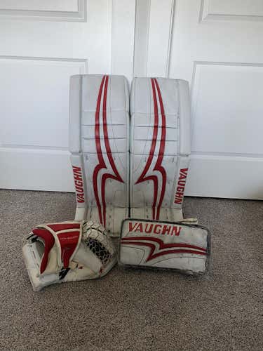 PETR MRAZEK FULL SETUP (RED WINGS)