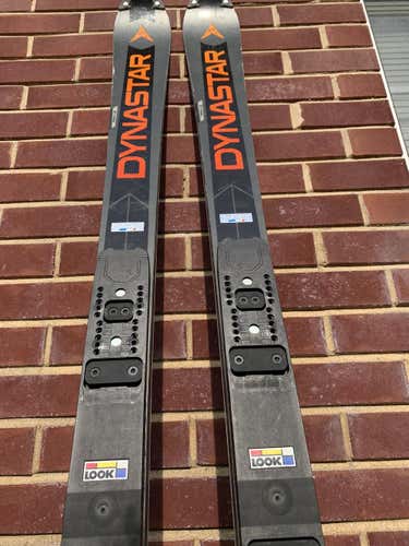 Used  Dynastar Speed WC FIS SL Skis