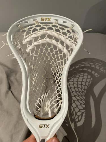 New Strung Stallion 700 Head
