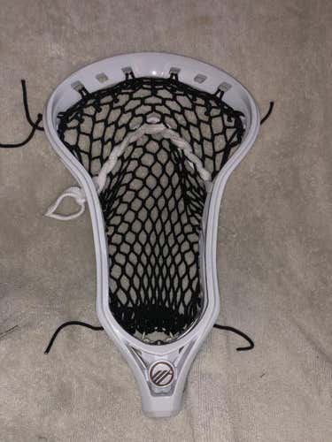 New Strung Optik Head