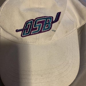 Orlando Solar Bears ECHL adjustable hat