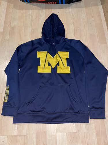 M Michigan Hoodie Champion
