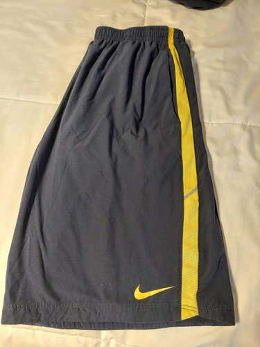 Men's Adult Medium Nike Shorts (Navy)
