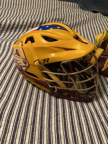 Custom Minnesota Helmet (SOLD Gloves)
