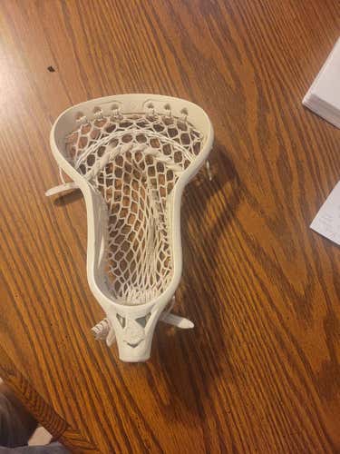 Strung Powell Pioneer Head
