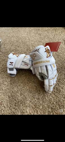 Custom Lehigh Evo qx gloves