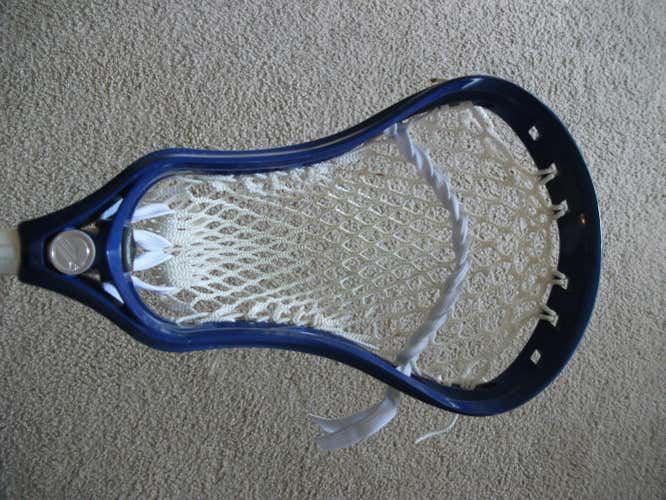 Maverik Havok on Warrior Evo QX - D
