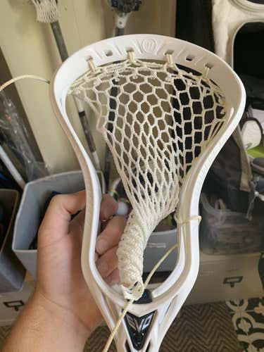 New Warrior Evo 5 Head