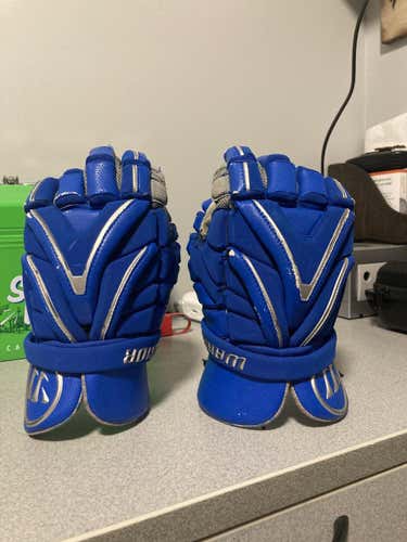 Used Warrior Evo Gloves