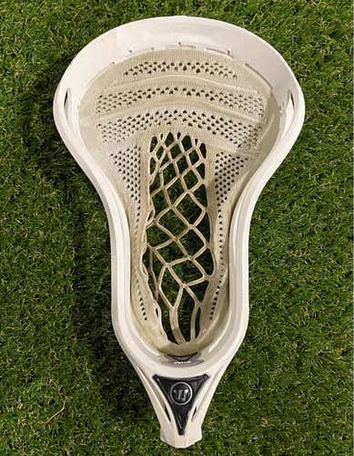 Warrior Burn Warp Pro (Rabil)
