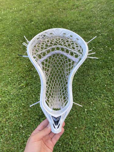 Warrior Evo 5 Head