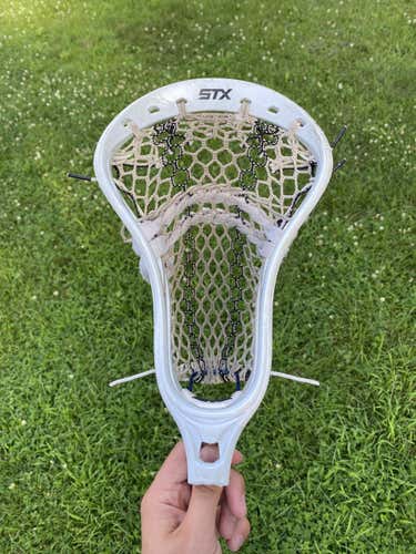 STX Stallion Head