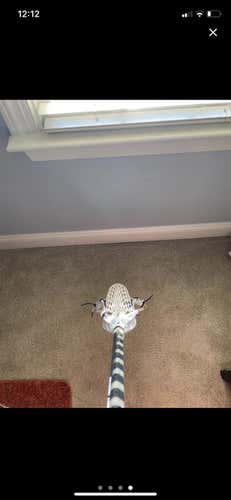 Used Kinetik With Strung With Semi-hard