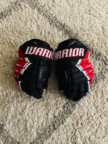 WARRIOR ALPHA DX PRO GLOVES 14