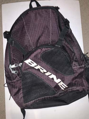 Used Brine Bag *use Promo Code brettnastos475 at Checkout*