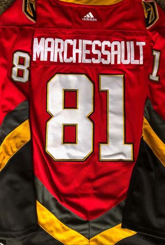 Vegas Golden Knights Reverse Retro