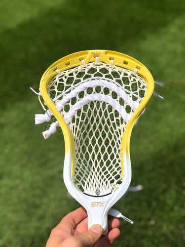 New STX Stallion 900 Head