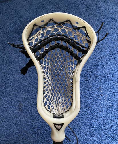 Natural/Bone ECD DNA