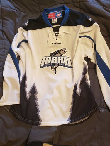 Iowa Steelheads ECHL Large CCM Jersey