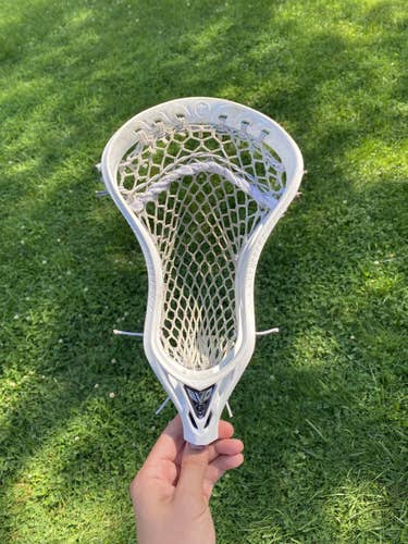 Warrior Evo 5 Head