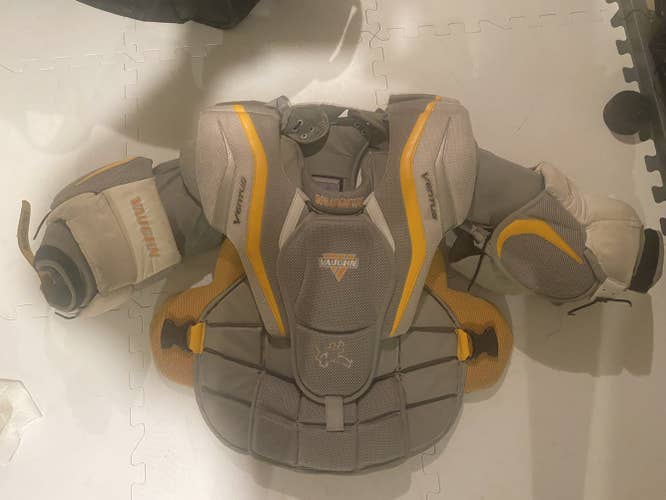 Vaughn intermediate large Ventus chesty
