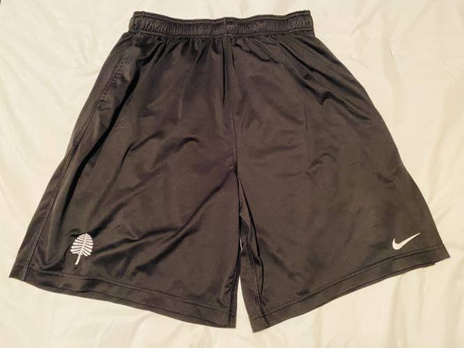 Dartmouth Lacrosse Lone Pine Nike Shorts XL