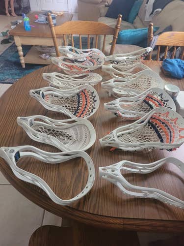 WARRIOR EVO COLLECTION. *OFFER FOR ALL*