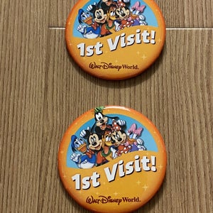 Walt Disney World 1st Visit Two Pin Pack