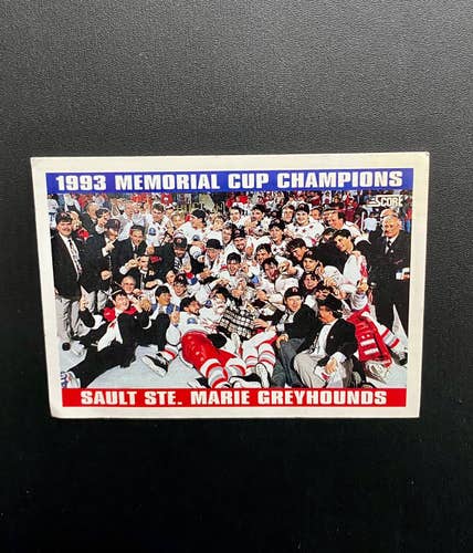 1993 SAULT STE. MARIE GREYHOUNDS MEMORIAL CUP CHAMPIONS HOCKEY TRADING CARD