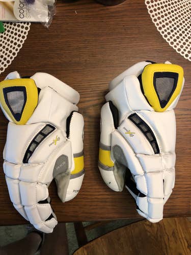 Michigan Issued Goalie Gloves