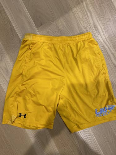 LIU Hockey Shorts