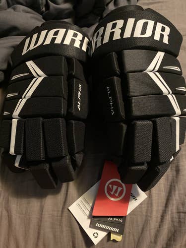 Black Senior Warrior 14" Alpha DX5 Gloves