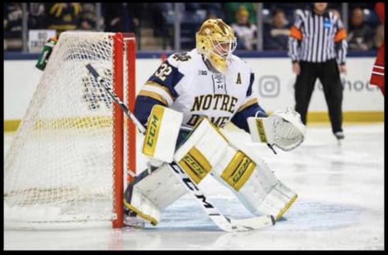Notre Dame CCM Retro Flex 33+2 full set