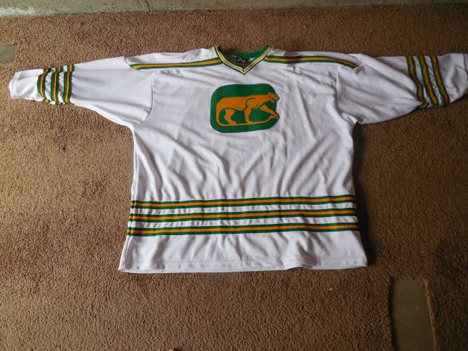 Chicago Cougars WHA goalie cut jersey