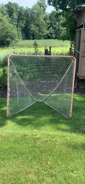 Used Lacrosse Goal